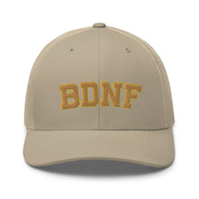 Load image into Gallery viewer, BDNF UNI TRUCKER CAP
