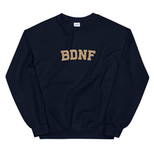 Load image into Gallery viewer, BDNF University Sweatshirt
