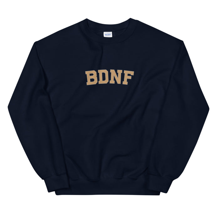 BDNF University Sweatshirt