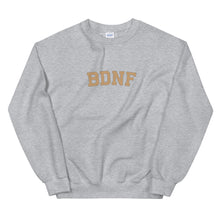 Load image into Gallery viewer, BDNF University Sweatshirt
